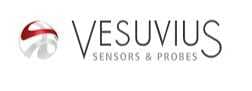 VESUVIUS DIGITAL SERVICES